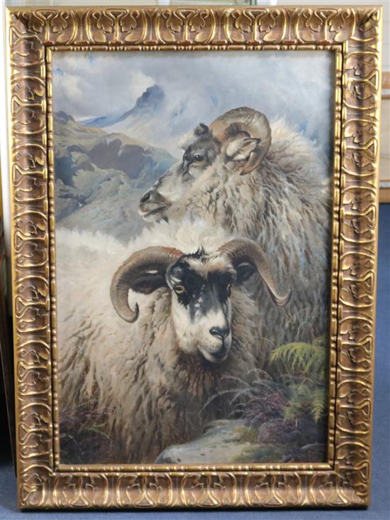 Thomas George Cooper (1836-1901) Sheep on a mountainside, 36 x 24in.